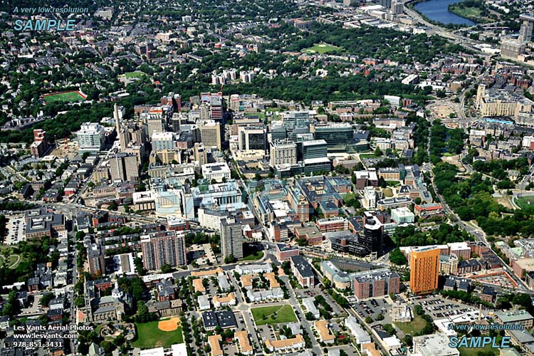 9-9-13_boston-stock_5768-125 copy