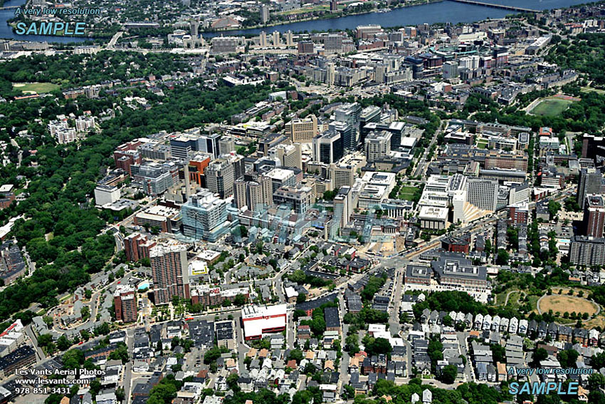 6-27-14_stock_6073-169 copy