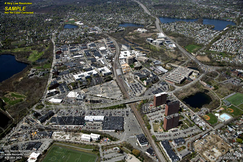 4-27-16_alewife-STOCK_6725-111 copy