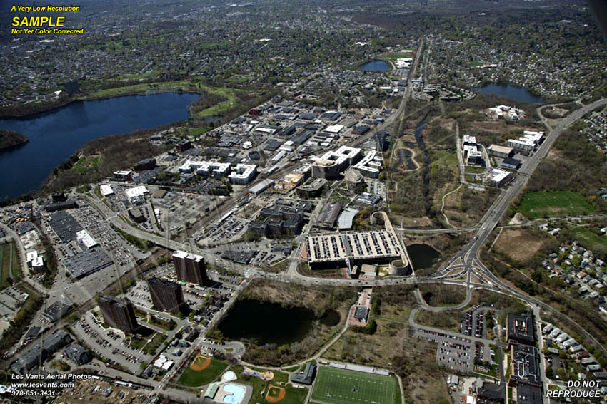 4-27-16_alewife-STOCK_6725-113 copy