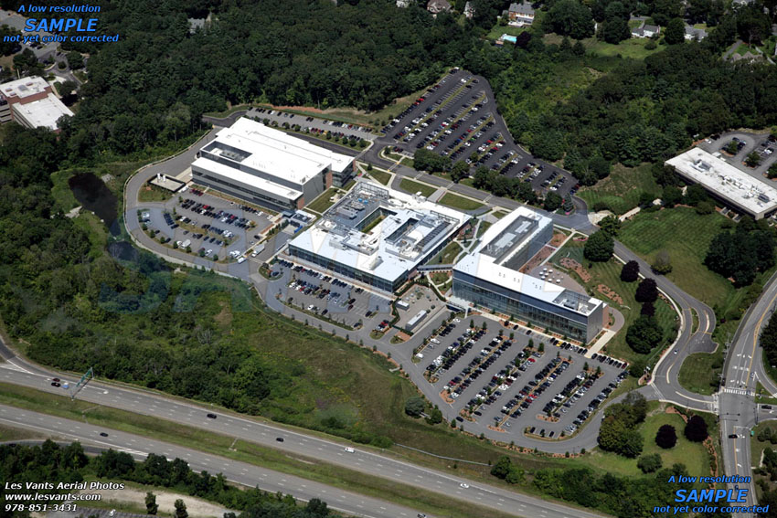 8-8-14_lexington-stock_6110-200 copy